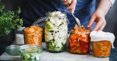 fermentirani ili fibri